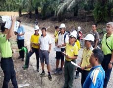 Sarawak Serian Plantation Salcra