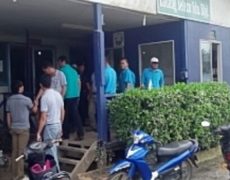 sarawak bintulu palmhead group ( Ladang Selezu Sdn.Bhd )